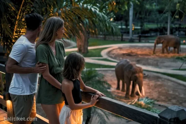 Sunset Elephant Visit + Private Feeding (Own Transport)