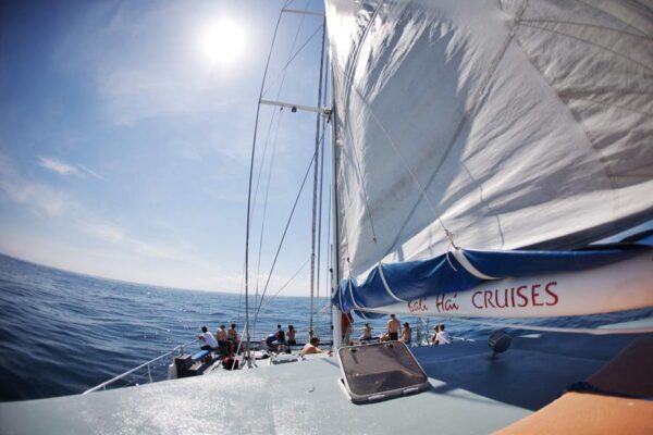 Bali Hai Aristocat Island Discovery Cruise