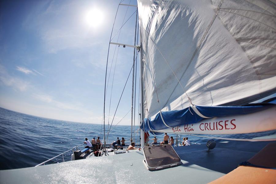 Bali Hai Aristocat Island Discovery Cruise