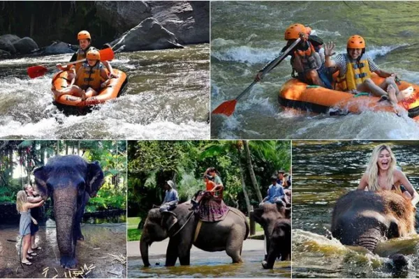 Ayung River Tubing + Bathing Elephant Tour