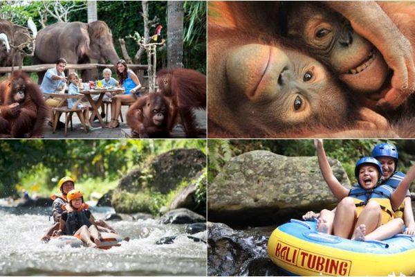 Bali Zoo - Breakfast with Orangutan + River Tubing