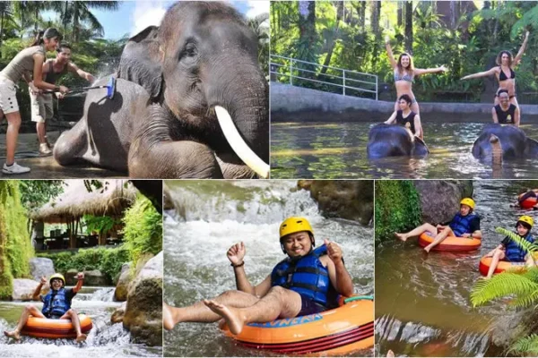 Mason Bathing Elephant + Lazy Cave River Tubing