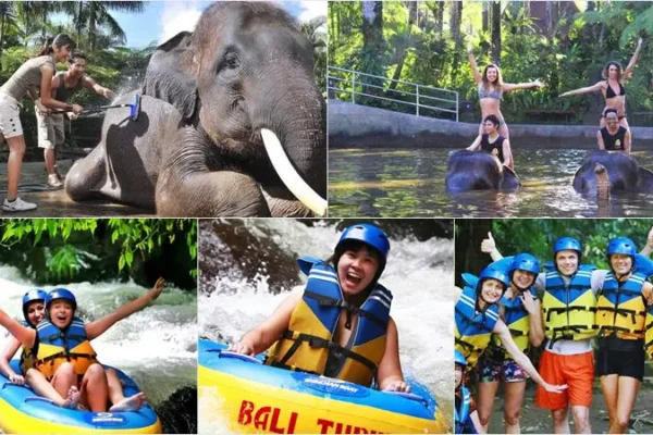 Mason Bathing Elephant + Pakerisan River Tubing