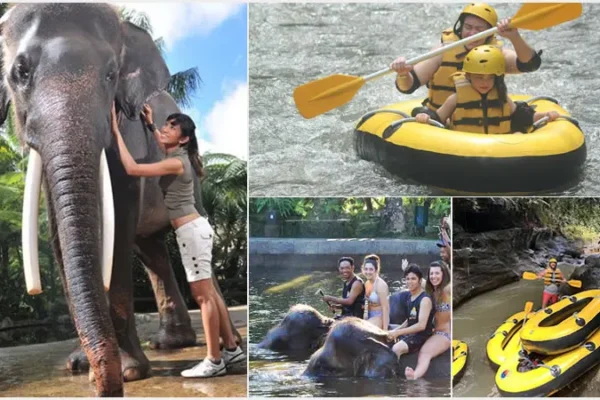 Mason Bathing Elephant + Wos River Tubing