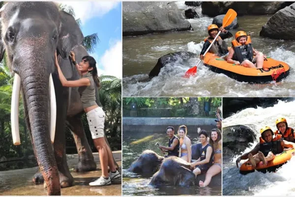 Mason Bathing Elephant + Ayung River Tubing