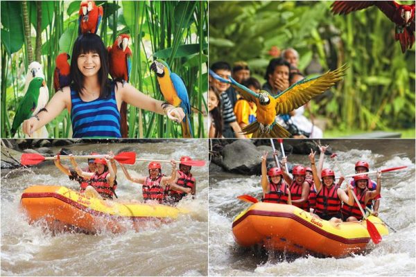 Bali Bird Park + Ayung River Rafting