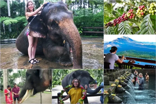Mason Bathing Elephant + Volcano Bali Tour