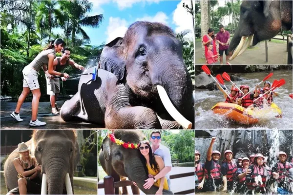 Mason Bathing Elephant + Rafting Bali Tour