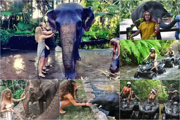 Mason Bathing Elephant + ATV Bali Ride Tour