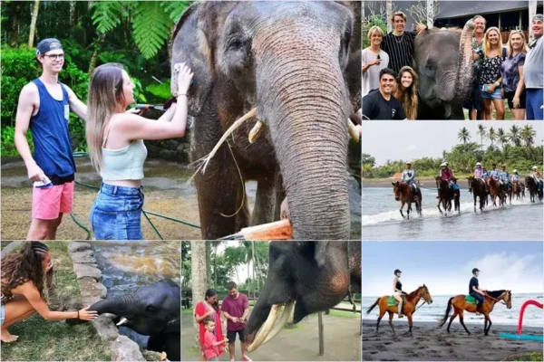 Mason Bathing Elephant + Horse Ride Tour