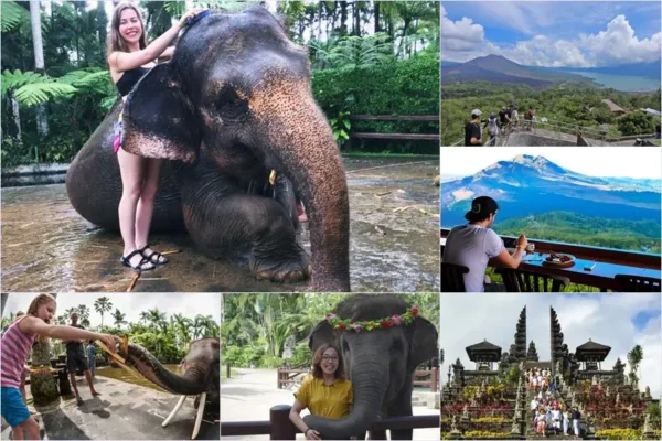 Mason Bathing Elephant + Mother Temple Tour
