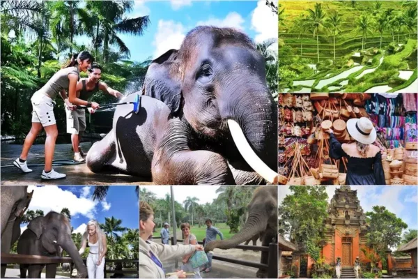 Mason Bathing Elephant + Ubud Center Tour