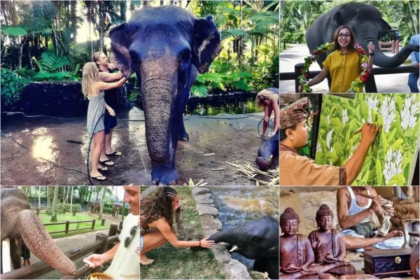 Mason Bathing Elephant + Arts Village Tour