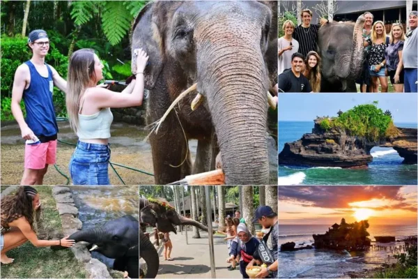 Mason Bathing Elephant + Tanah Lot Tour