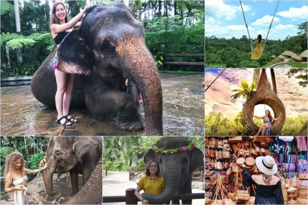 Mason Bathing Elephant + Swing Ubud Tour