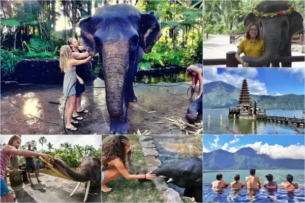 Mason Bathing Elephant + Hot Spring Tour