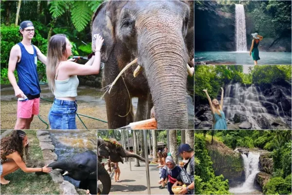 Mason Bathing Elephant + Three Waterfalls Tour