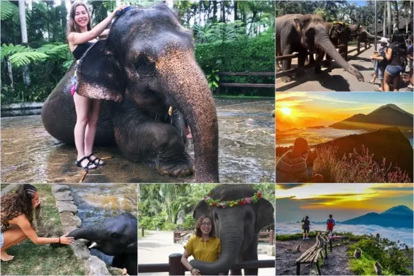 Mason Bathing Elephant + Mount Batur Hiking Tour