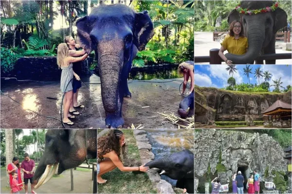 Mason Bathing Elephant + Archaeological Tour