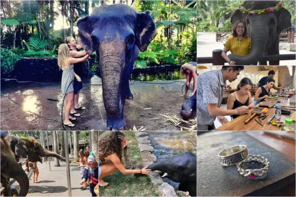 Mason Bathing Elephant + Silver Class Tour