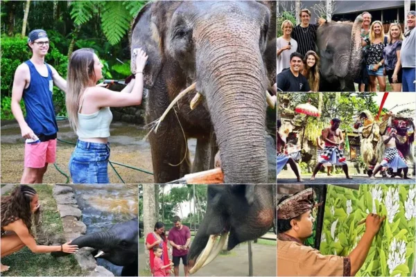 Mason Bathing Elephant + Barong Dance & Arts Village Tour
