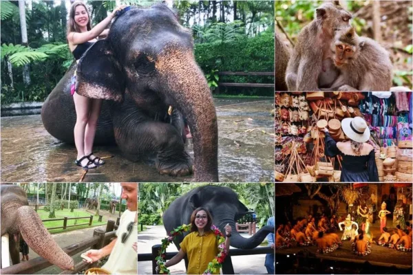 Mason Bathing Elephant + Kecak Dance Tour