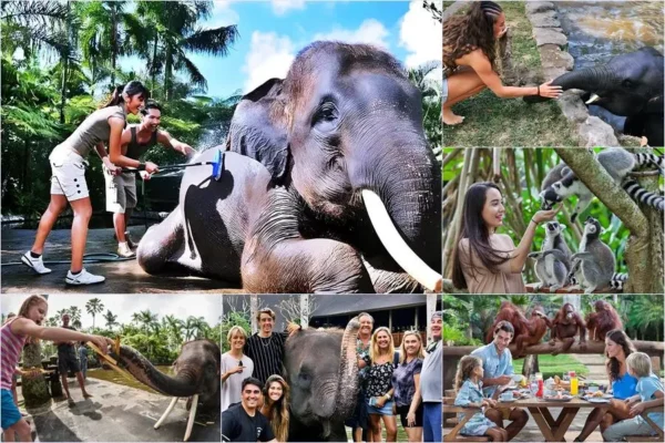 Mason Bathing Elephant + Breakfast with Orangutan