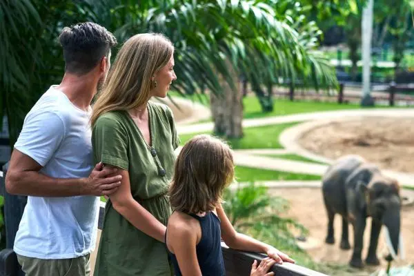Mason Elephant Park Visit Only (Own Transport)