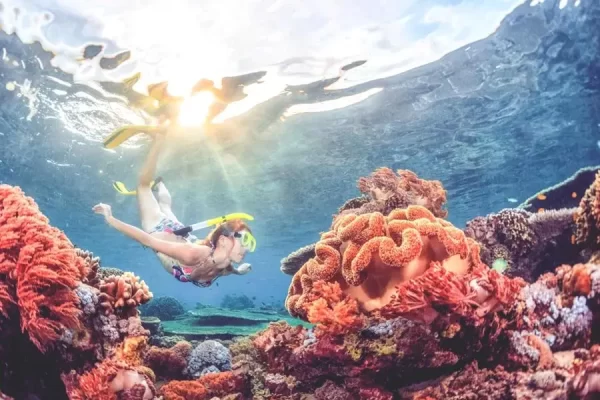 Blue Lagoon Snorkeling + Cepung Waterfall Tour