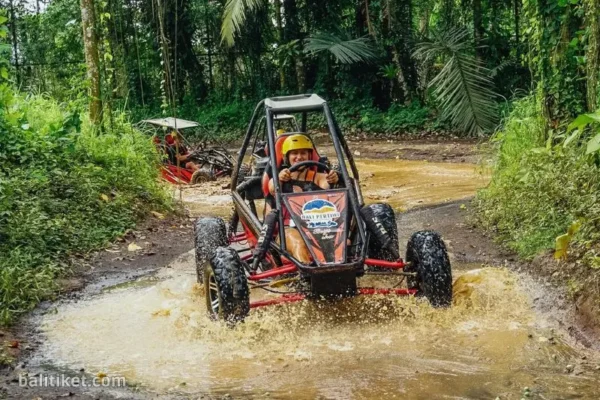 Bongkasa UTV Jungle Buggy - Own Transport