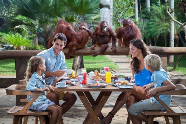 Bali Zoo - Breakfast with Orangutan + Elephant Expedition
