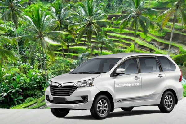 [OPTIONAL] Surcharge for Round-Trip Hotel PRIVATE Transfer Service