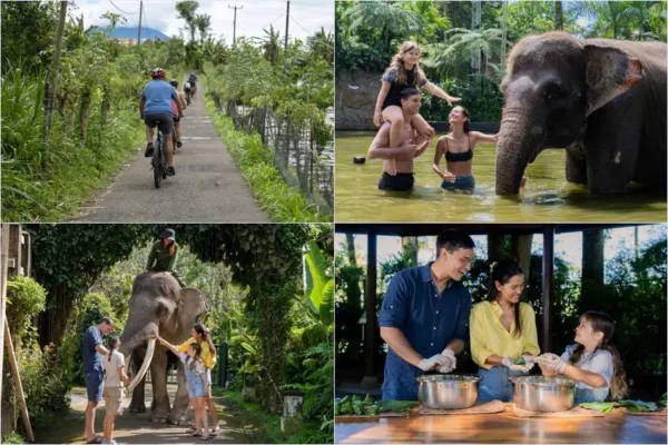 Mountain Cycling + Elephant Wellness Walk + Lake Bathe