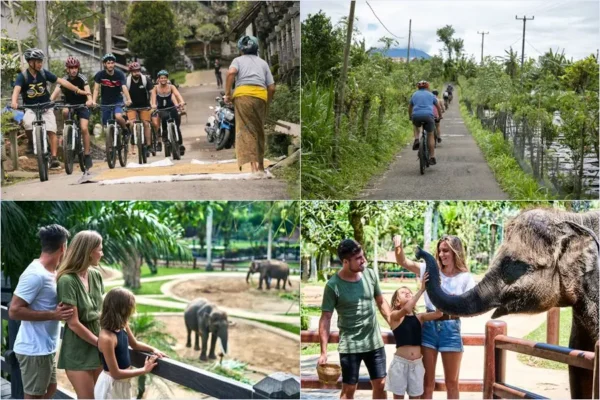 Mountain Cycling + Elephant Park Visit