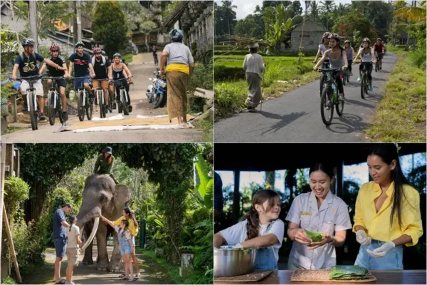 Mountain Cycling + Elephant Wellness Walk