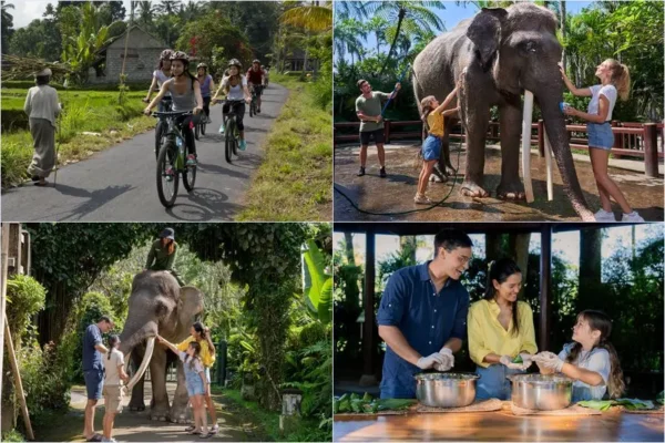 Mountain Cycling + Elephant Wellness Walk + Wash & Bathe
