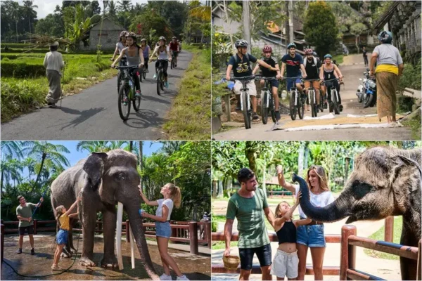 Mountain Cycling + Jumbo Wash Elephant Tour