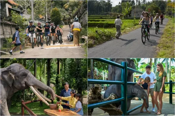 Mountain Cycling + Picnic Elephant Tour Bali