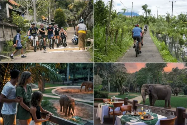 Mountain Cycling + Sunset Elephant Tour Bali