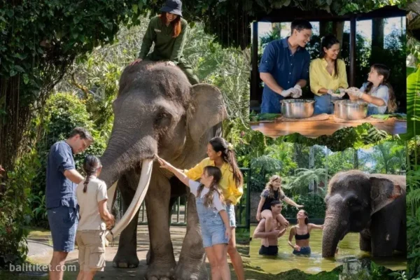Elephant Wellness Walk + Lake Bathe (Own Transport)
