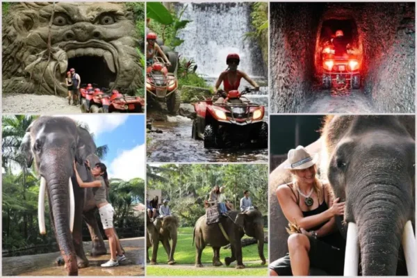 Gorilla ATV Ride + Bathing Elephant + Ubud Tour