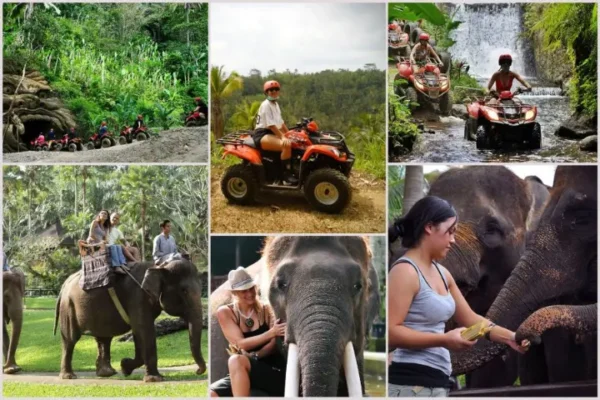 Gorilla ATV Ride + Elephant Ride + Ubud Tour