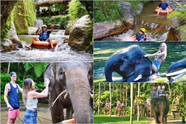 Lazy Cave River Tubing + Bathing Elephant