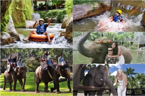 Lazy Cave River Tubing + Elephant Ride
