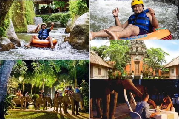 Lazy Cave River Tubing + Elephant Safari Under Stars