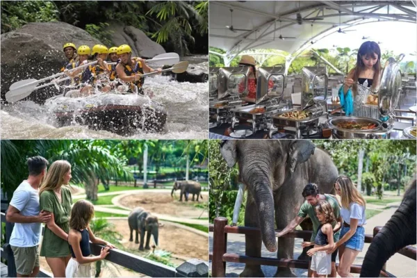 Morning Ayung Rafting + Mason Elephant Park Visit