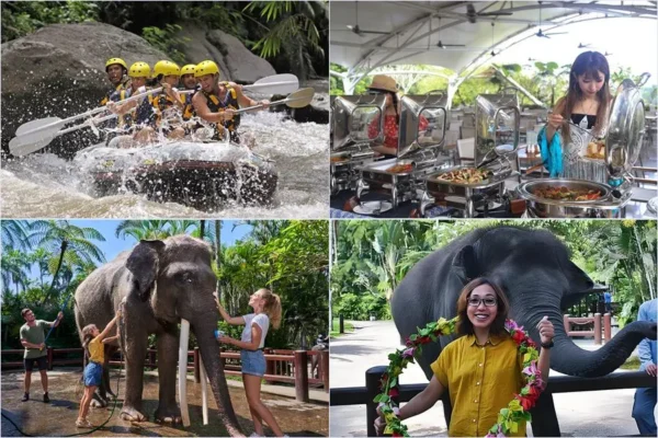 Morning Ayung Rafting + Elephant Jumbo Wash