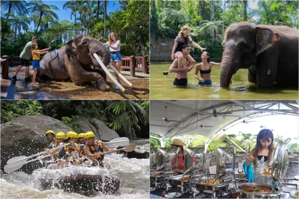 Morning Wash & Bathe Elephant + Afternoon Bali Rafting