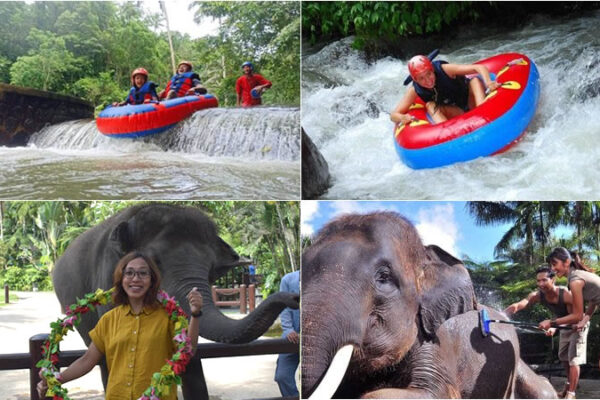 Pakerisan River Tubing + Elephant Washing Tour