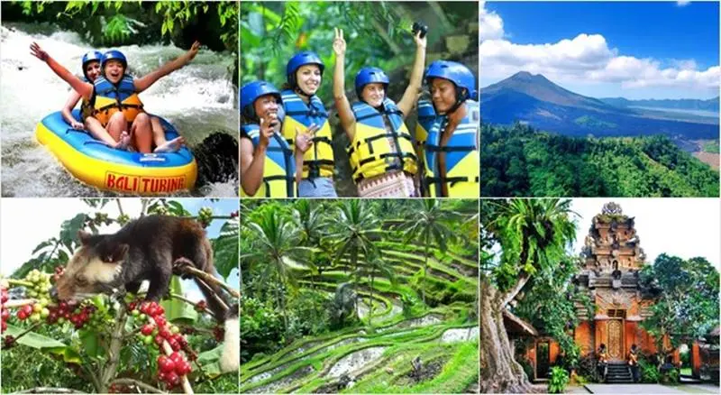 Pakerisan River Tubing + Volcano + Ubud Tour